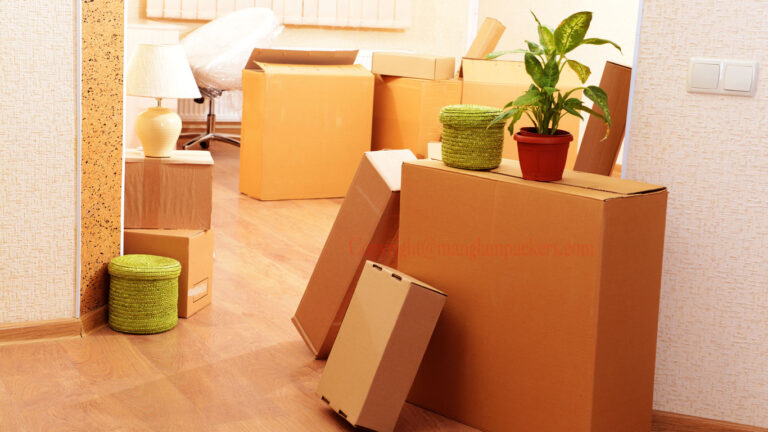 How Do Packers and Movers Ensure the Safety of Household Items?