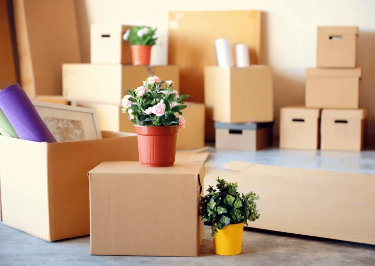 How Early Should I Book Packers and Movers in Vellore?