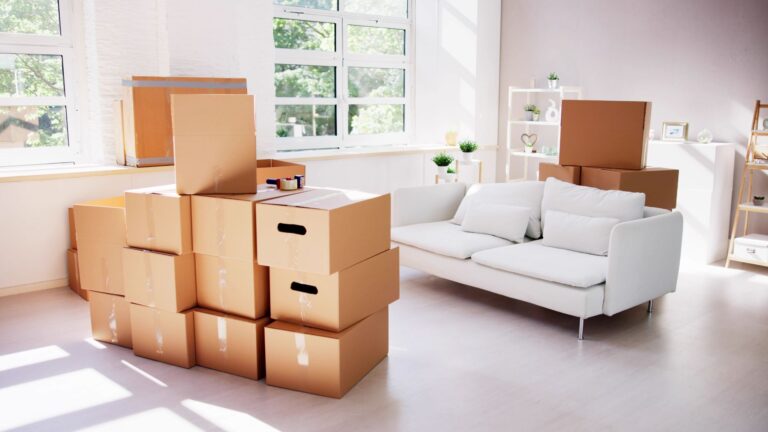 Are Packers and Movers in Katpadi Available for Local Shifting?