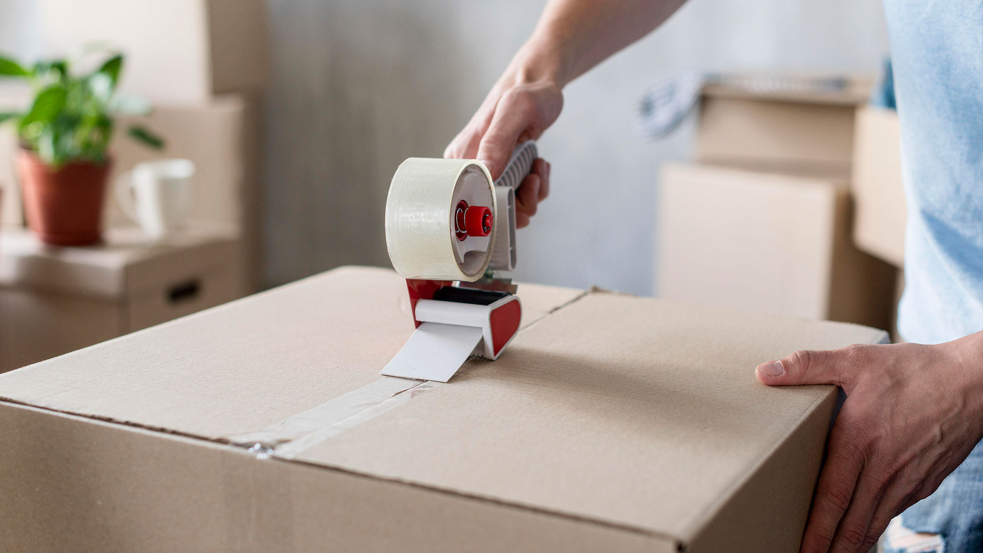 Why Do People Prefer Expert Packing Services in Katpadi for Safe Relocation?